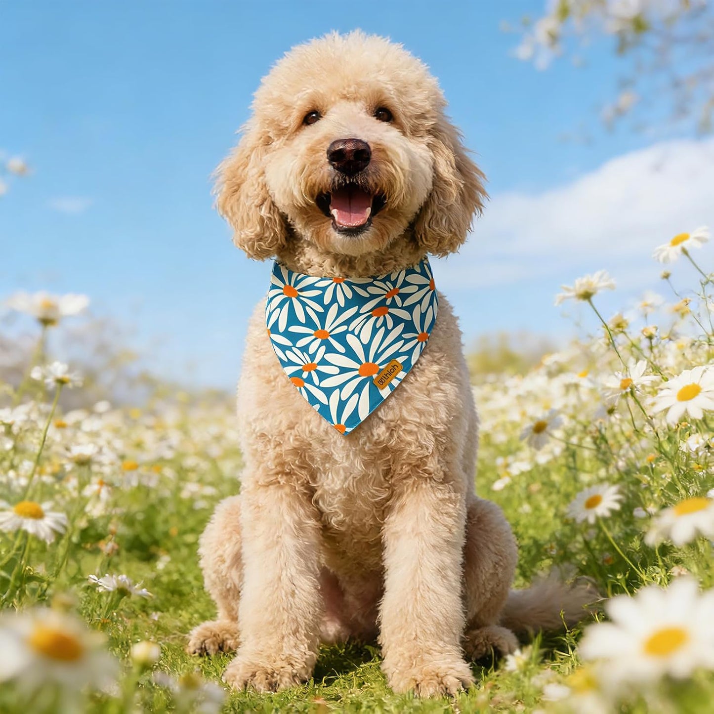 Bandanas florales para perros con botón ajustable 2 pzas