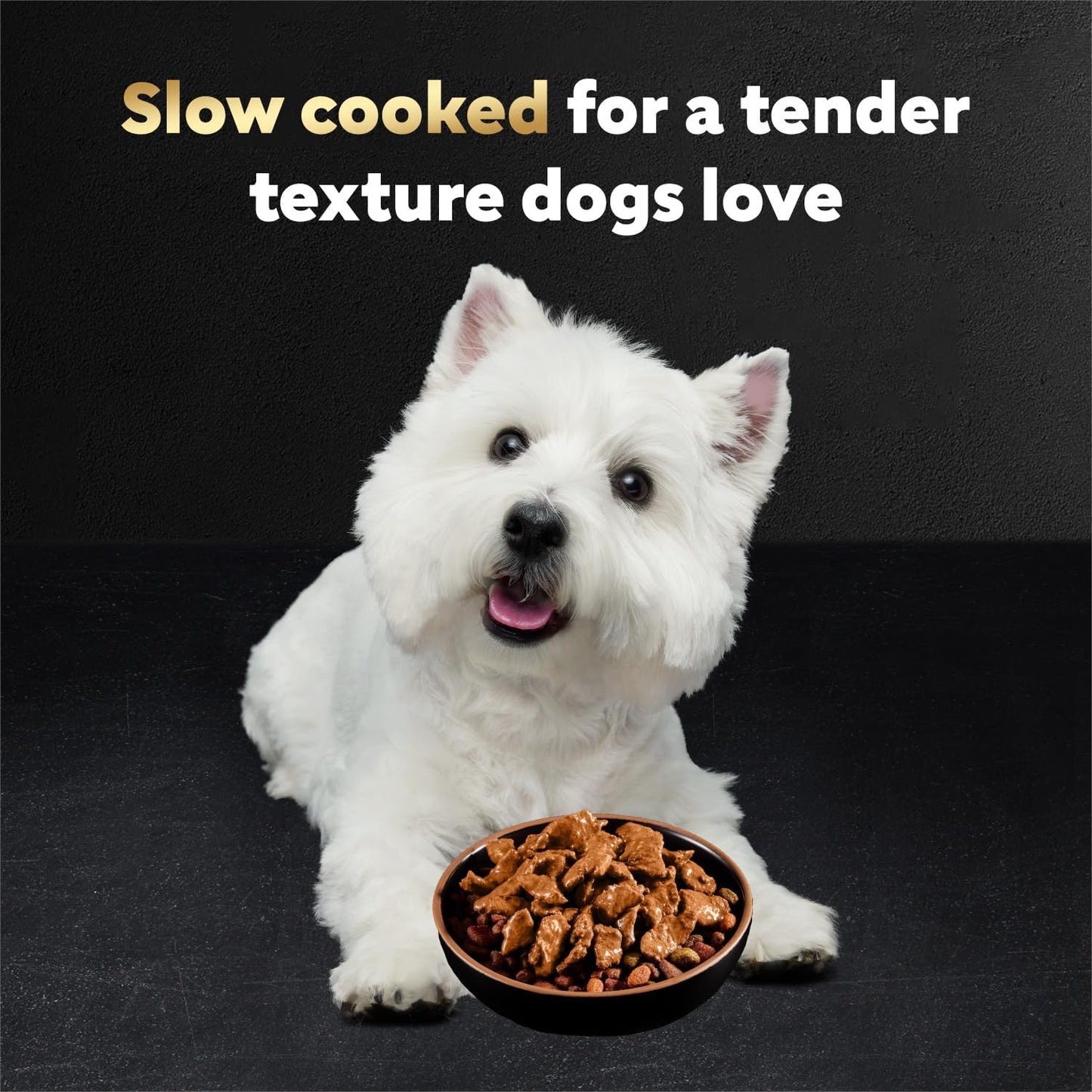 Alimento húmedo para perros sabor carne Angus 1.76oz 20uds