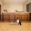 Puerta plegable perros 120pulg doble bloqueo