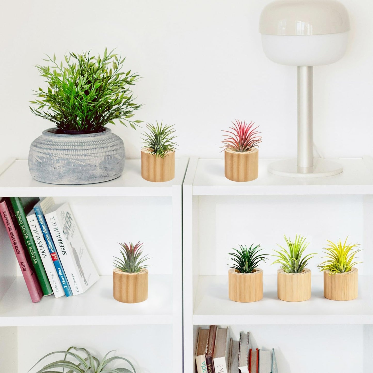 6 Soportes Plantas Aire Madera Decoración Hogar