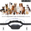 Collar entrenamiento perros con control remoto IPX7 2000 pies