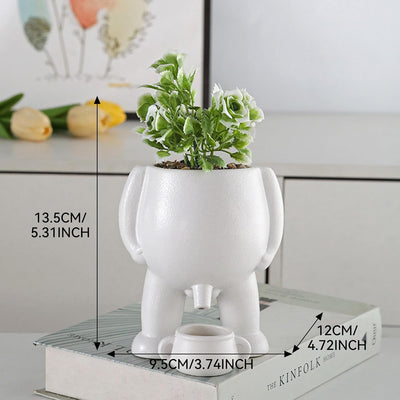 Maceta diseño novedoso para suculentas y decoración blanco