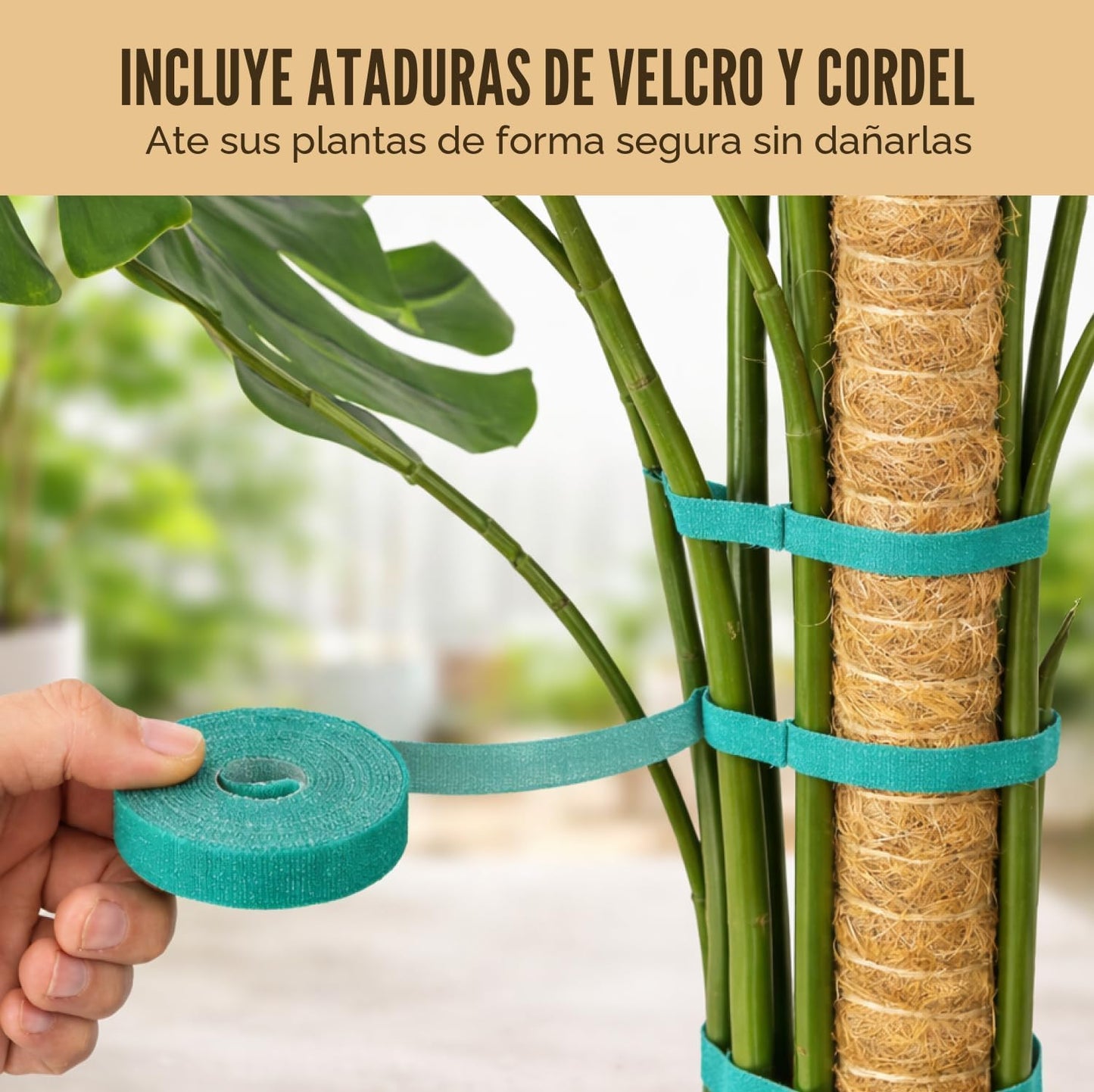 Soporte planta Monstera poste musgo flexible 48pulg
