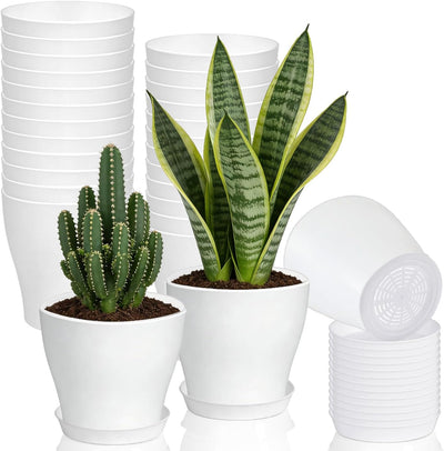 Set 24 Macetas Plástico 4pulg con Bandejas Drenaje para Suculentas