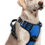 Arnés ajustable para perros grandes con hebillas y asa azul rey