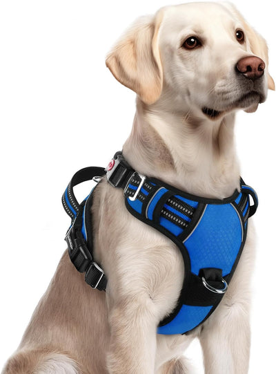 Arnés ajustable para perros grandes con hebillas y asa azul rey