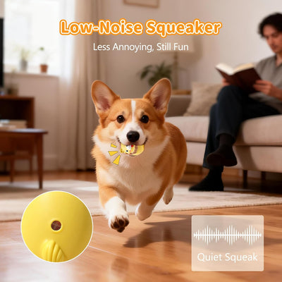 Bolas chirriantes látex para cachorros pequeños
