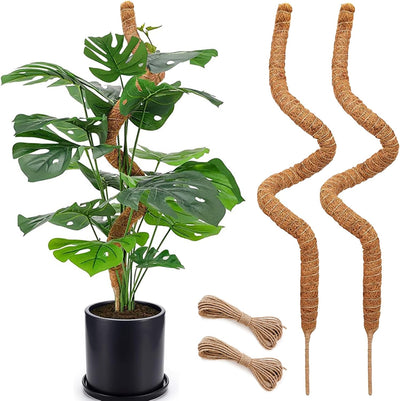 2 Postes Musgo Fibra Coco 48pulg para Monstera Pothos