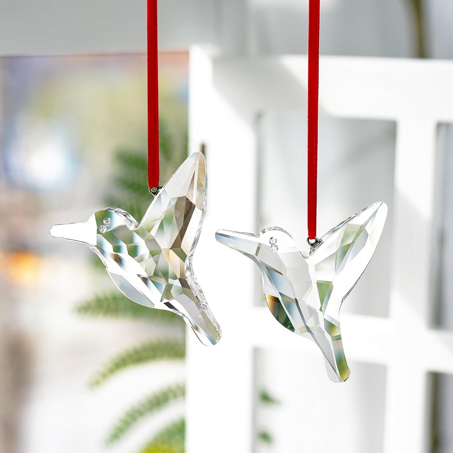 Juego 2 atrapasueños colibrí cristal arcoíris para ventana jardín