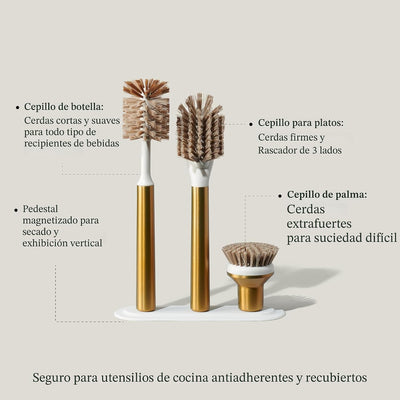Juego cepillos iónicos acero inox cabezales reemplazables