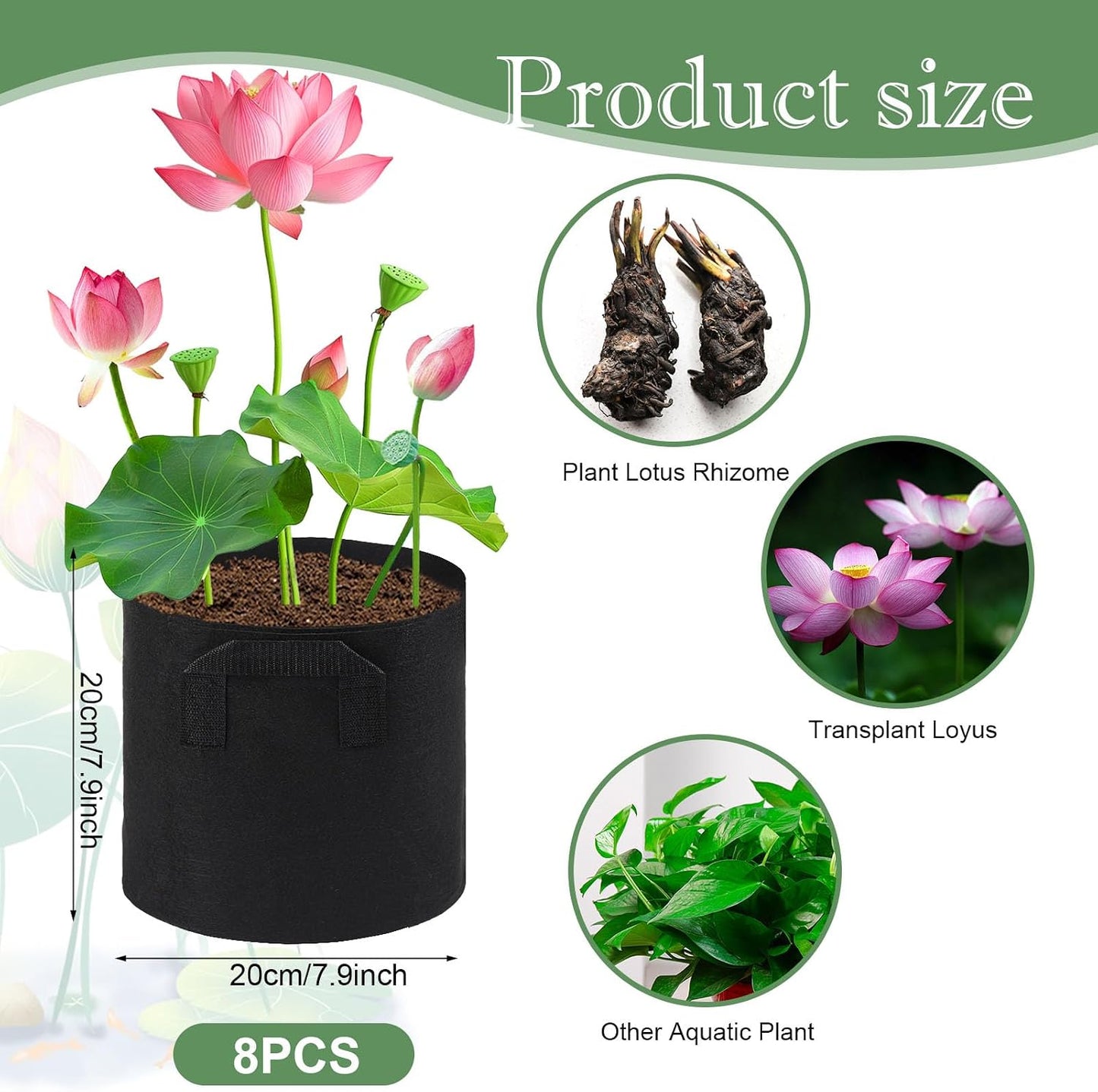 Macetas lirio estanque 2gal