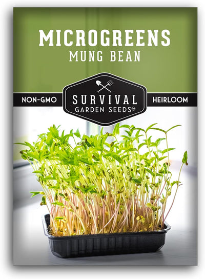 Paquete semillas microgreens frijol mungo cultivo interior