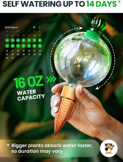 Globos riego 16oz para plantas interiores con bebedero automático