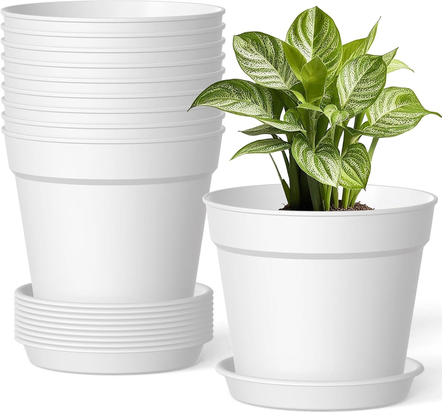 10 Macetas Plástico Blanco 6pulg Drenaje Interior Exterior