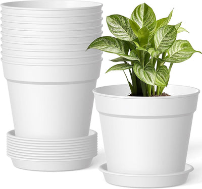 10 Macetas Plástico Blanco 6pulg Drenaje Interior Exterior