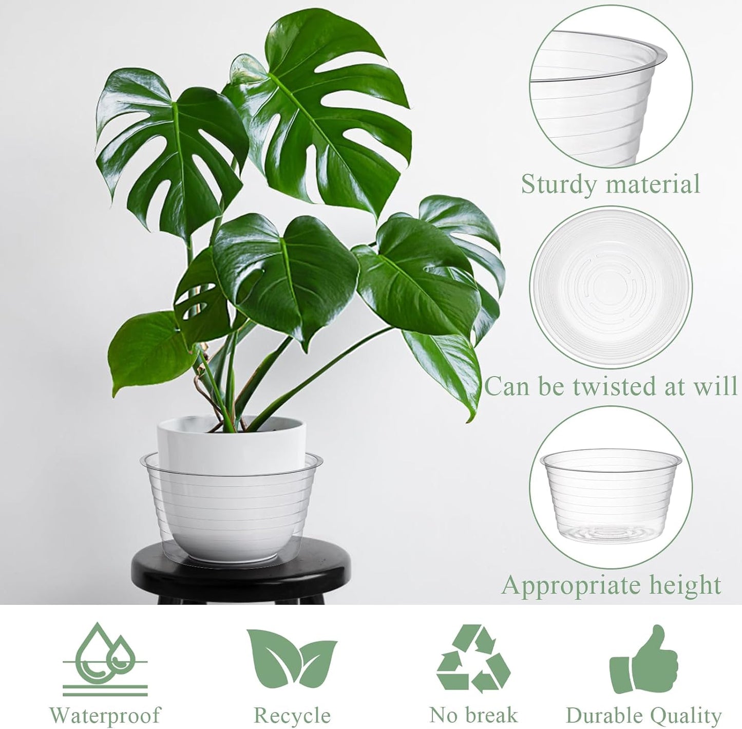 50 Platillos Plástico Transparente 6pulg Riego Plantas