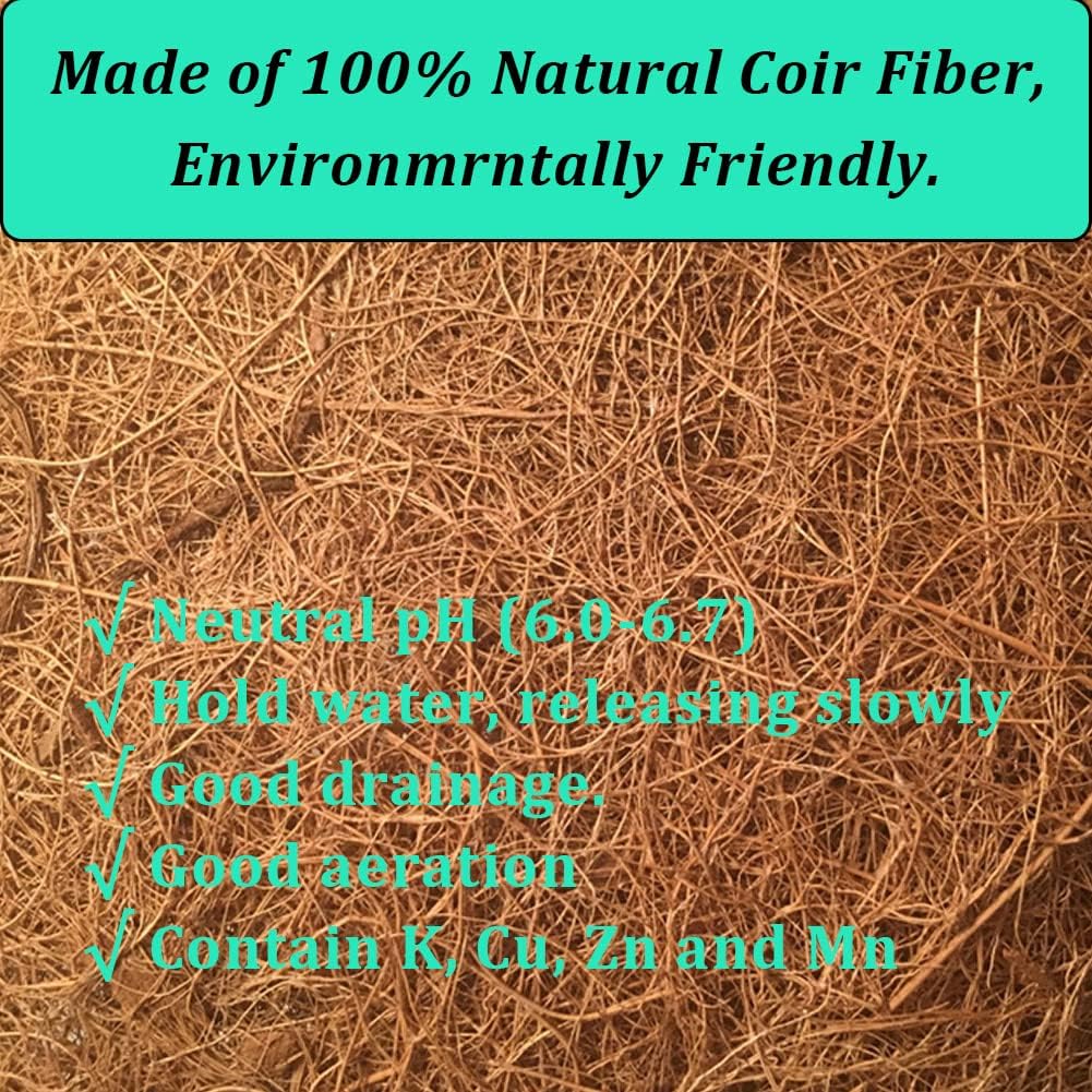 2 Pzas Forro Cesta Colgante 10pulg Fibra Coco Natural