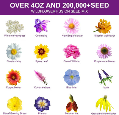 Semillas flores silvestres 4oz 16 variedades perennes sin OMG