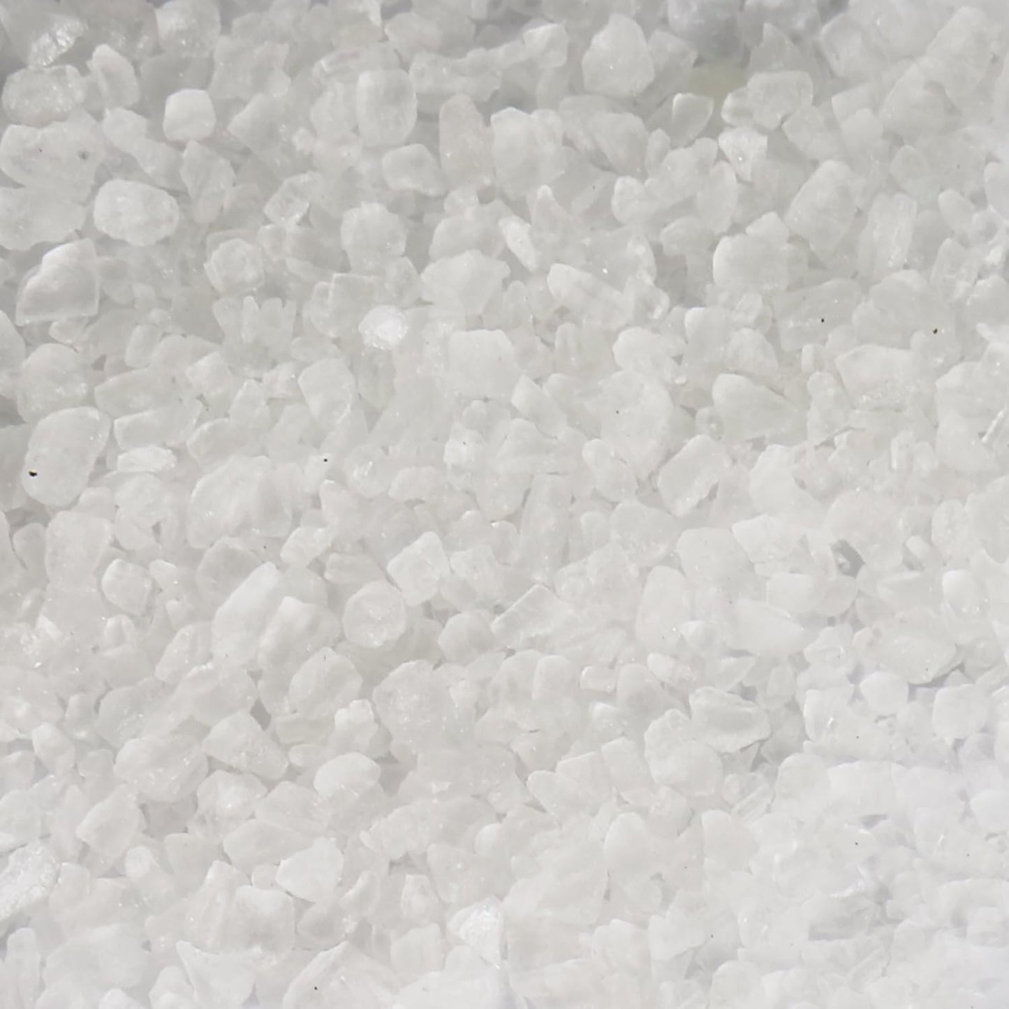 Contenedor sal estanque 4.4lb