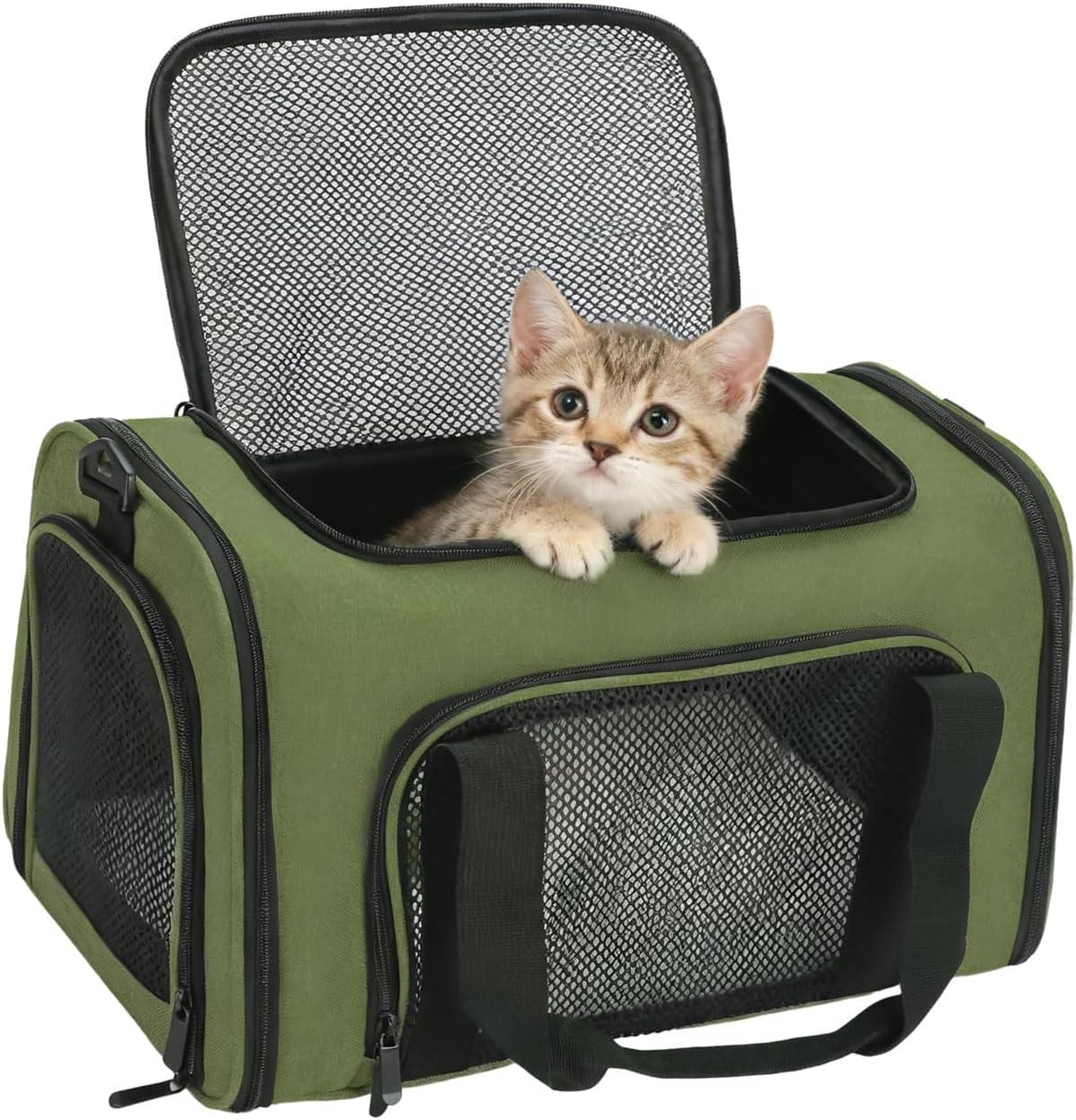 Transportador mascotas perros gatos 15lb correa ajustable