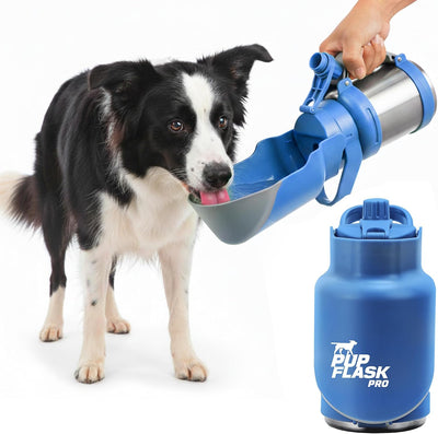 Botella agua perro acero inox doble pared 30-50oz cuenco integrado