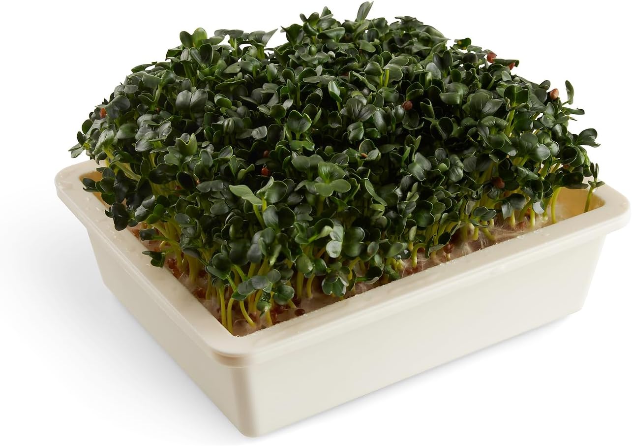Alfombrillas cultivo autorriego biodegradables 25 pzas
