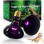 Lámpara calor reptiles 100W UVA dragón barbudo