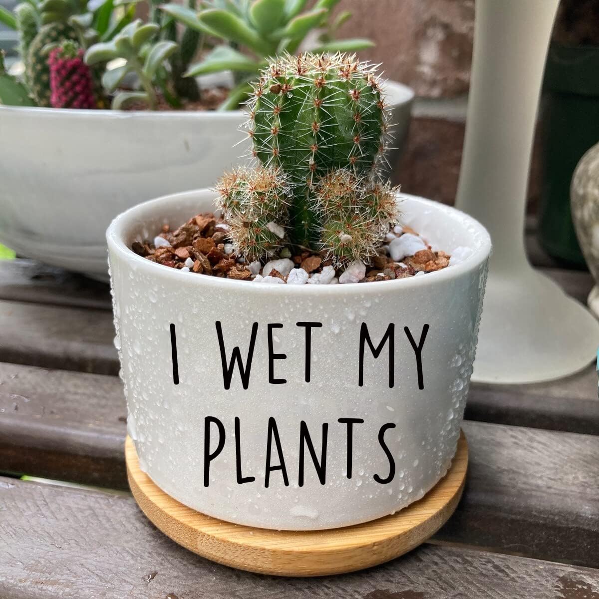 Maceta cerámica blanca 3.5pulg cactus suculentas con bandeja bambú