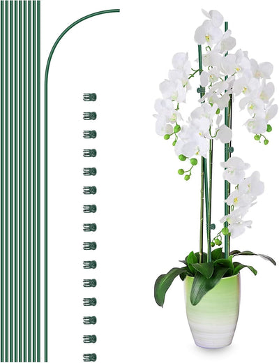 10 Estacas Soporte Plantas 15 Clips Orquídeas 16pulg