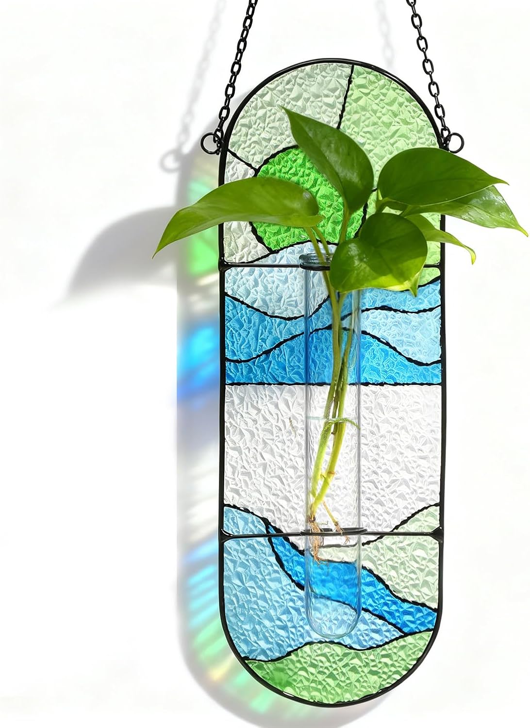 Estación propagación plantas vidrio hidropónica decoración