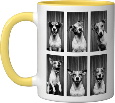 Taza Cerámica Jack Russell Perro Fotografía Amarillo Blanco