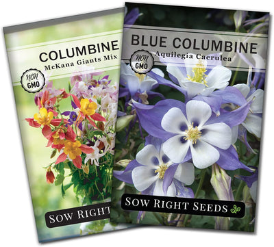Semillas flores Columbine gigantes azules kit jardín