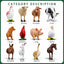 Paquete de 12 imanes 3D de animales de granja para nevera y decoración