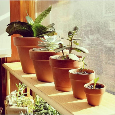 10 Macetas Terracota 4pulg para Suculentas y Cactus con Drenaje