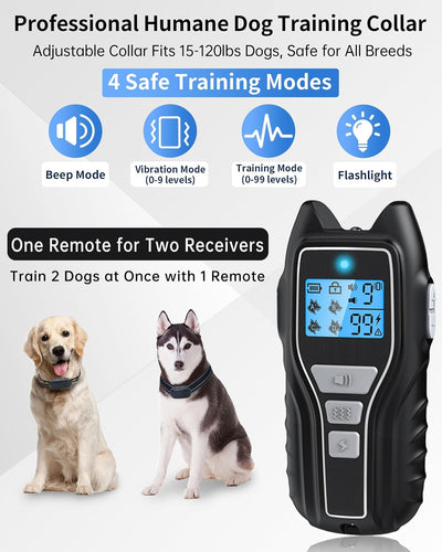 Collar choque perros 2000 pies control remoto IPX7 impermeable