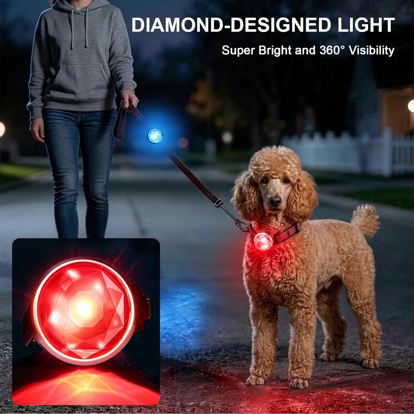 2 Luces LED USB-C para Collar Perro Impermeable RGB