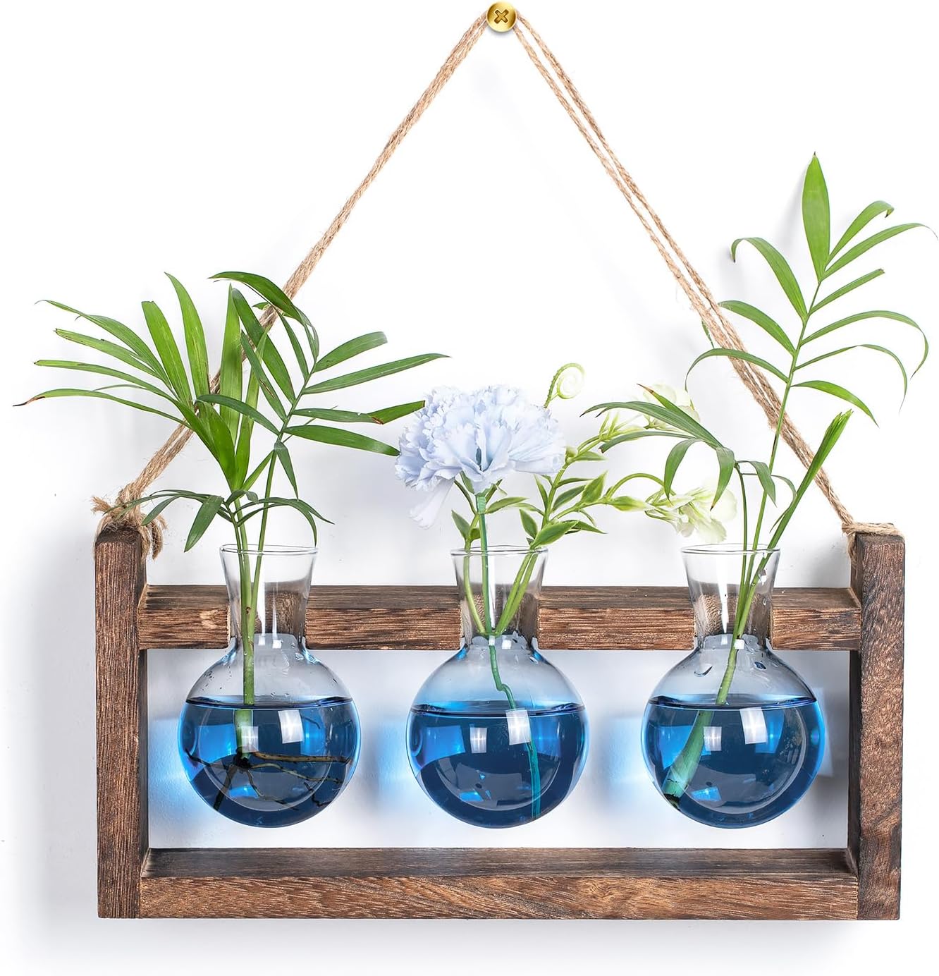 Soporte propagación plantas madera terrario regalo