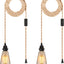Kit 2 Lámparas Colgantes Enchufables E26/E27 15pies