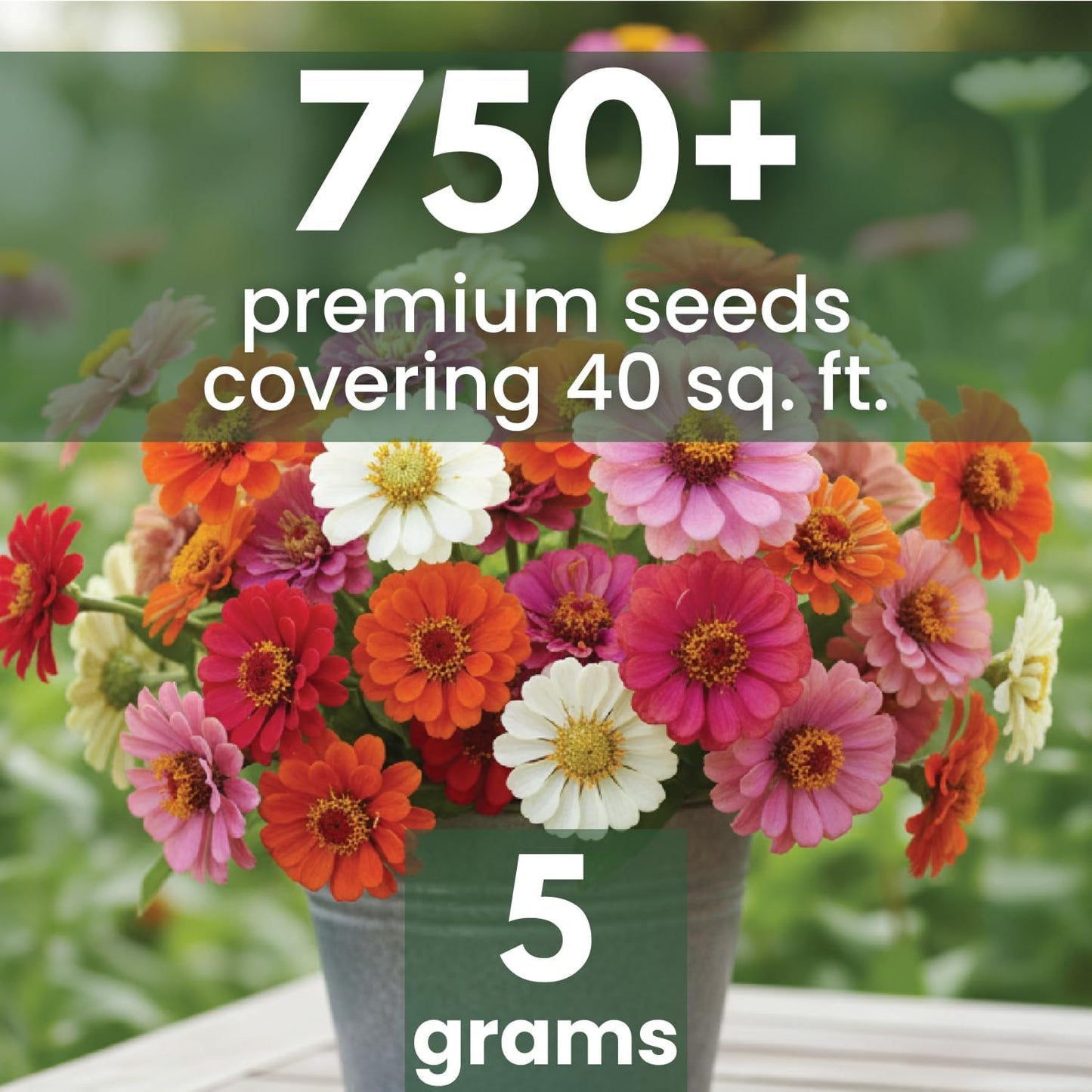 750 semillas Zinnia bolsa 0.18oz