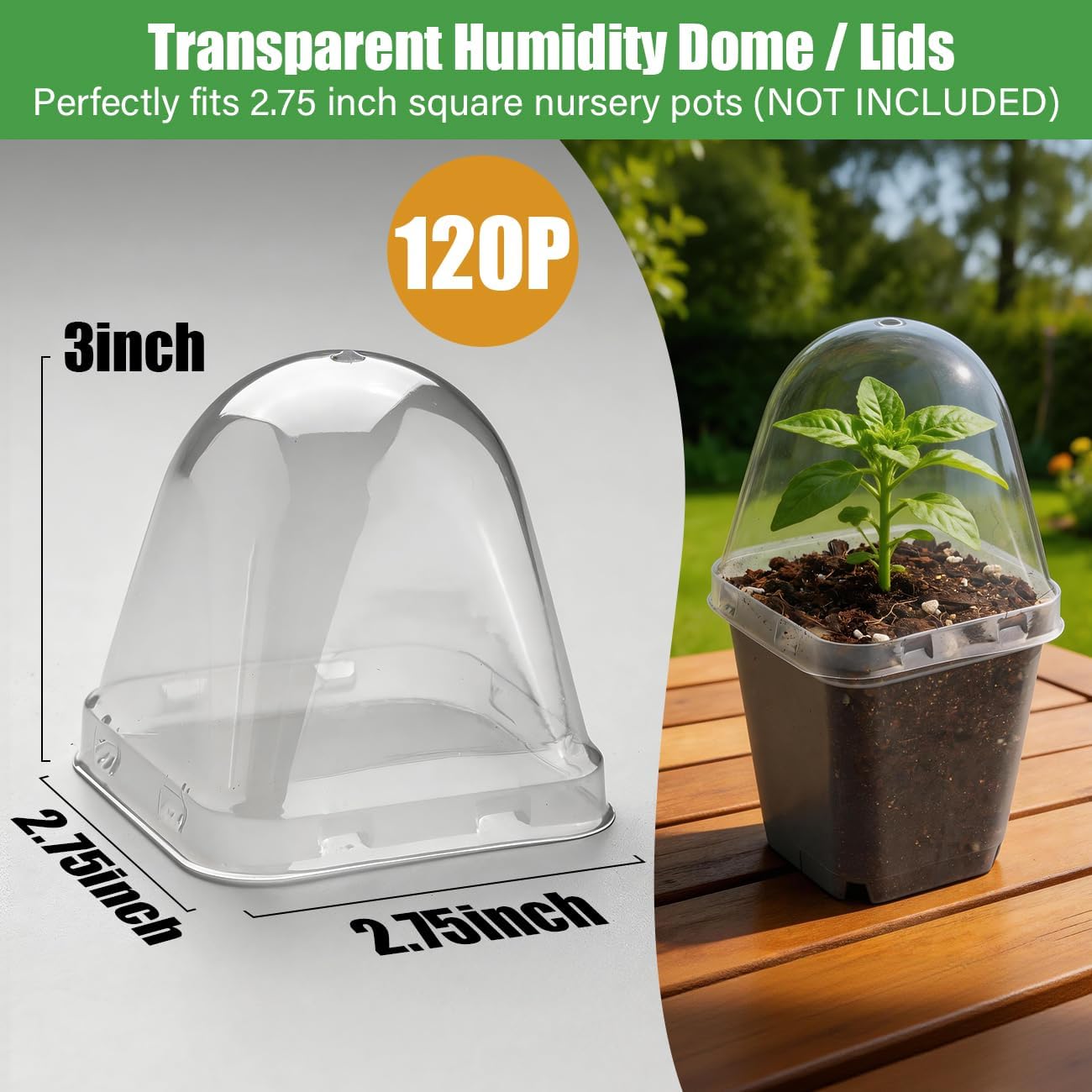 Pack 120 Cúpulas Transparentes para Plántulas Maceta 2.7pulg