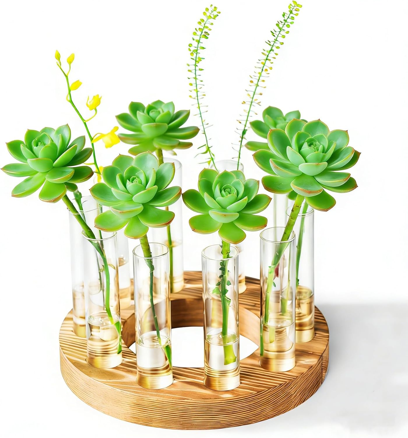 Jarrones cristal soporte madera decoración hogar marrón