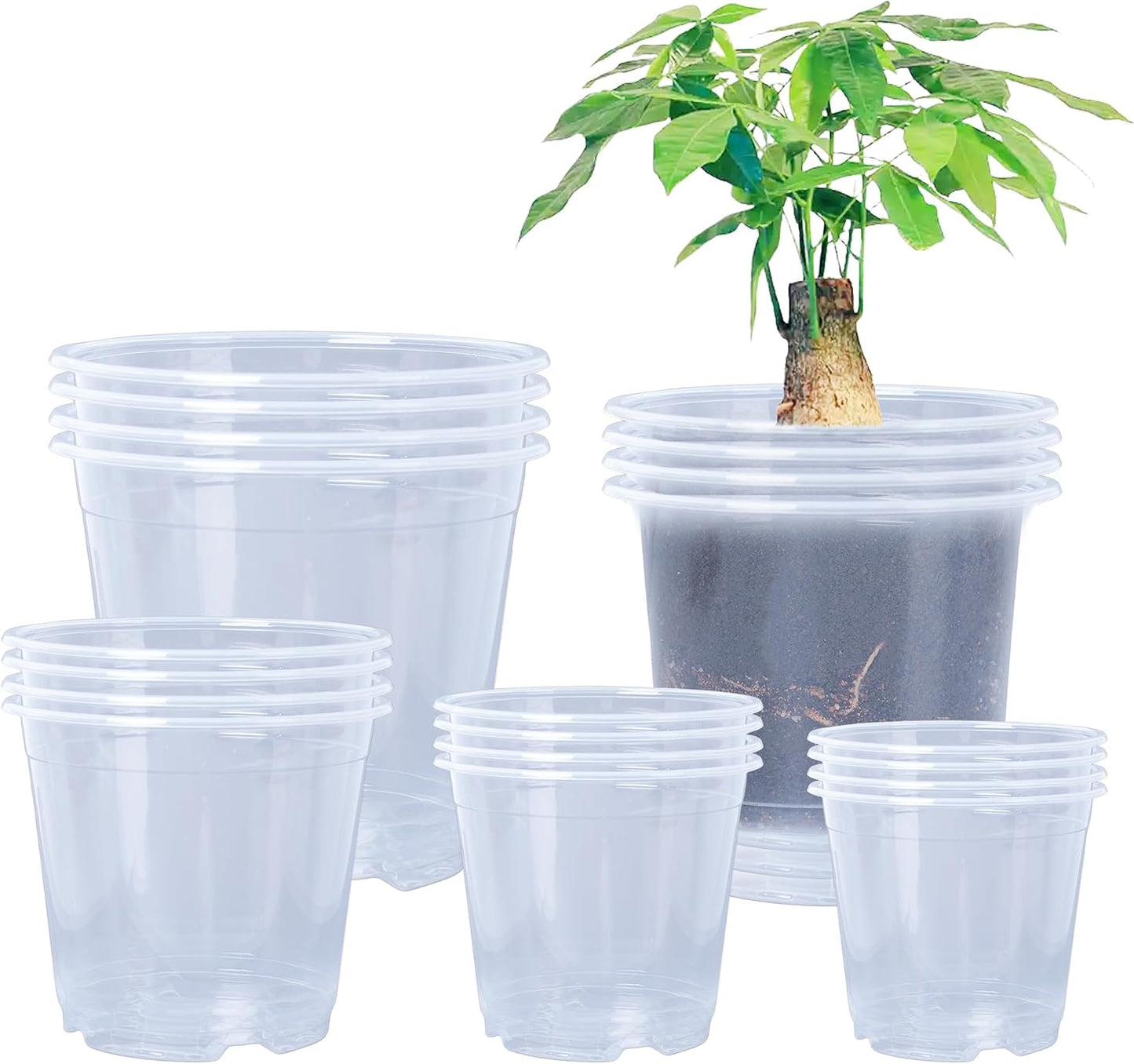 Macetas plástico transparente con drenaje 6.7/6/5/4/3.5pulg 20 pzas