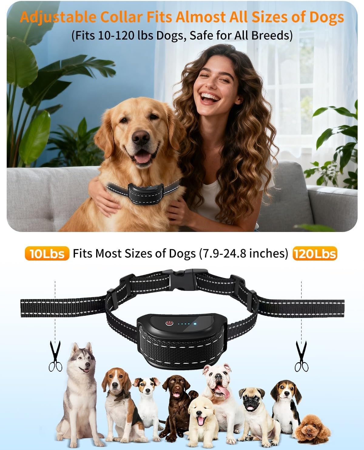 Collar choque perros 10-120lb 2000pies IPX7 recargable