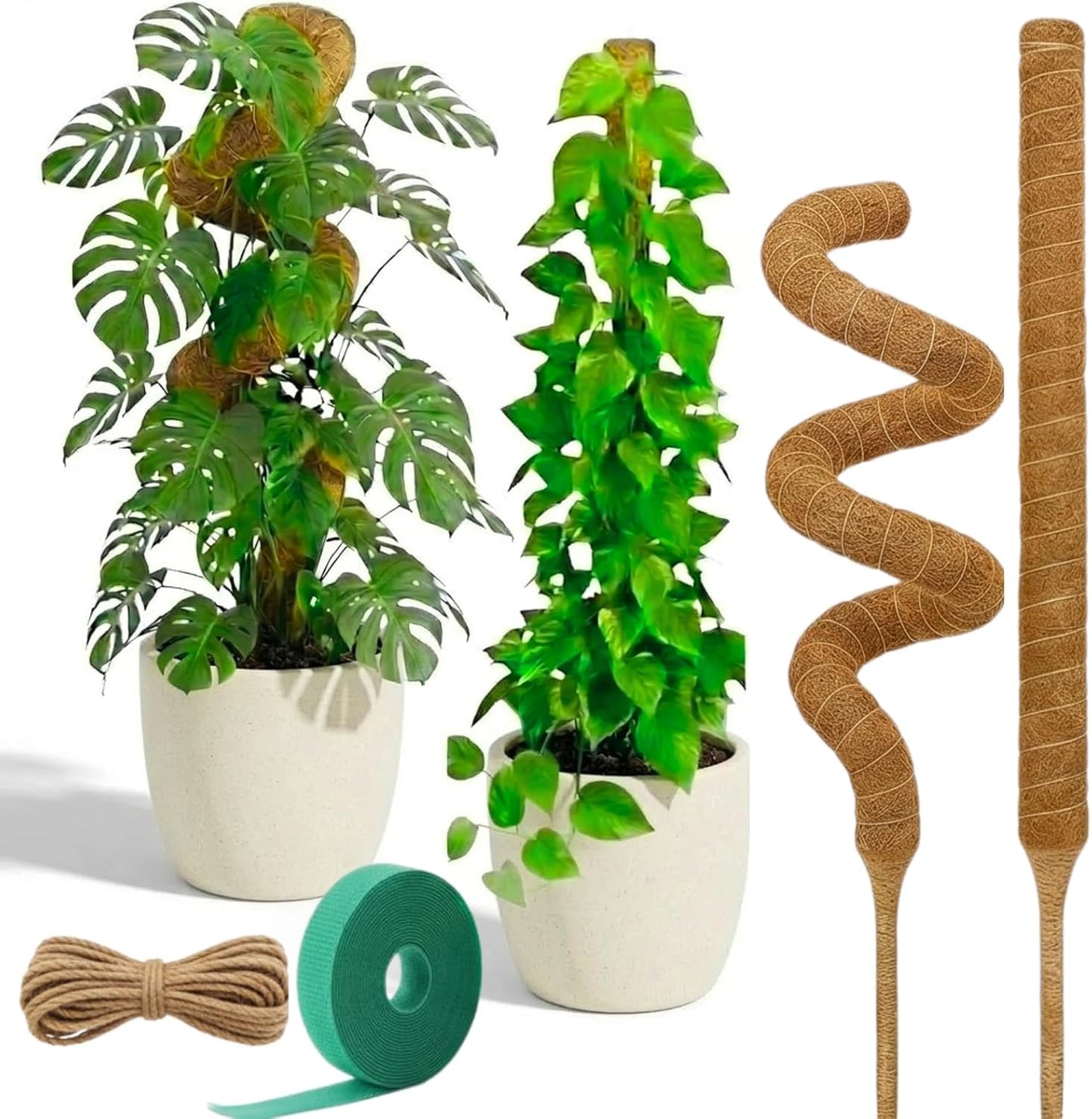 2 Postes Musgo Fibra Coco 28pulg Soporte Plantas
