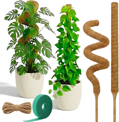 2 Postes Musgo Fibra Coco 28pulg Soporte Plantas