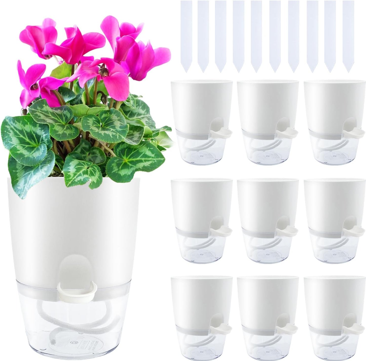 10 Macetas Plástico Violeta Absorbe Humedad Riego Automático