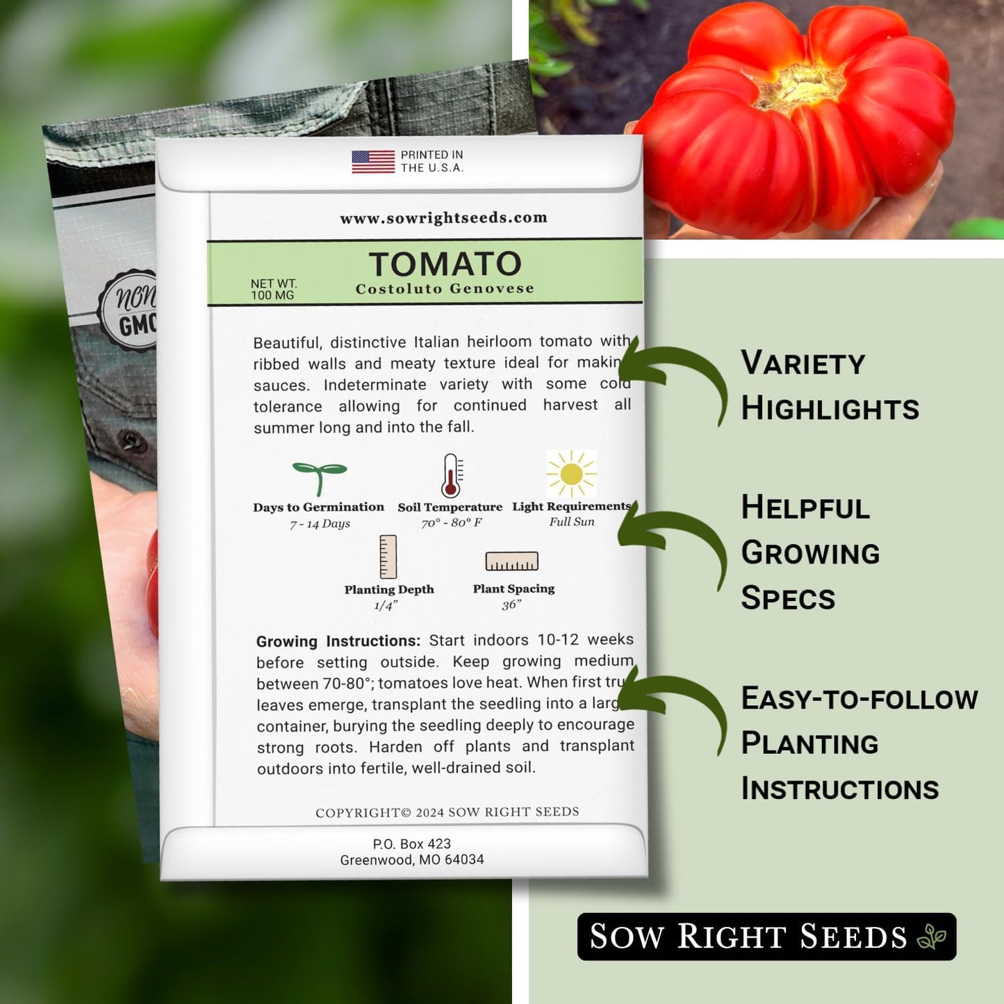 Semillas tomate Costoluto Genovese para plantar