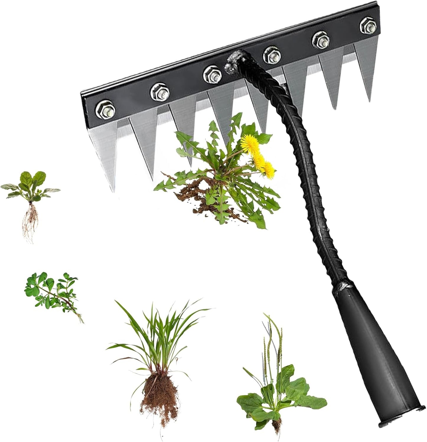 Rastrillo Hierro 8 Dientes Acero Carbono Jardinería