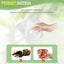 Macetas transparentes 8/7/6/5/4pulg con drenaje set 10