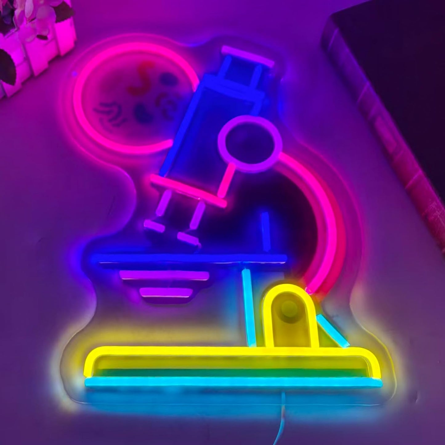 Letrero neón LED para aula ciencias laboratorio estudio